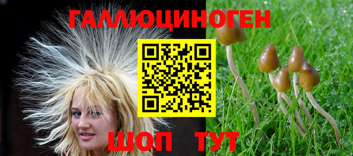 Галлюциногенные грибы прущие грибы  Вход с VPN  Ижевск  Галлюциногенные грибы ЛСД 