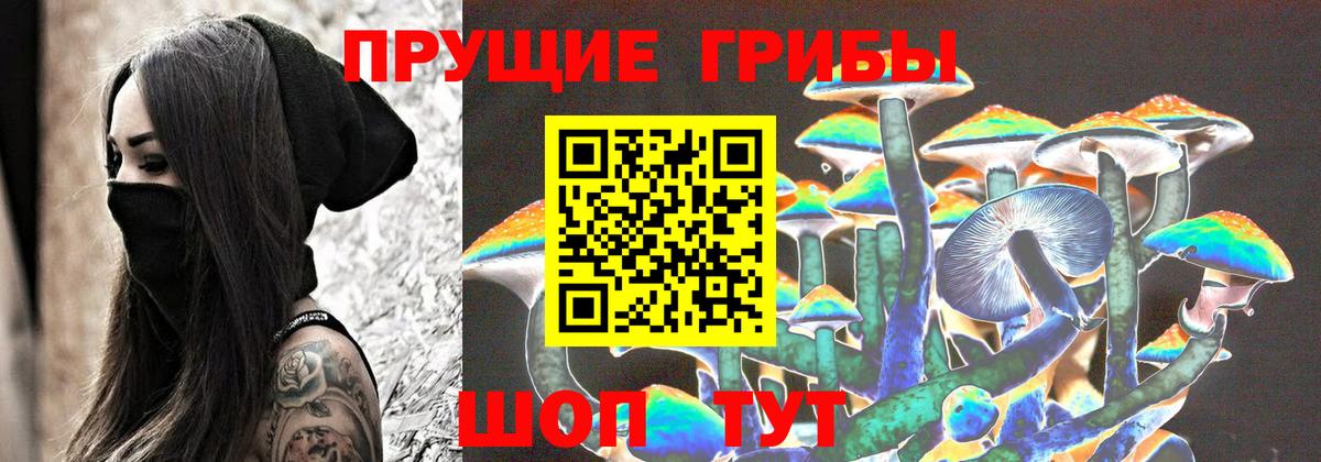 Псилоцибиновые грибы Cubensis Ижевск